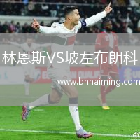 林恩斯VS坡左布朗科