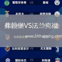 弗賴堡VS法蘭克福