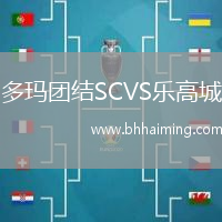 多瑪團(tuán)結(jié)SCVS樂高城