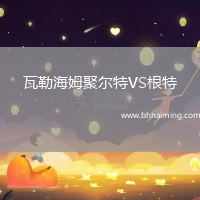 瓦勒海姆聚爾特VS根特