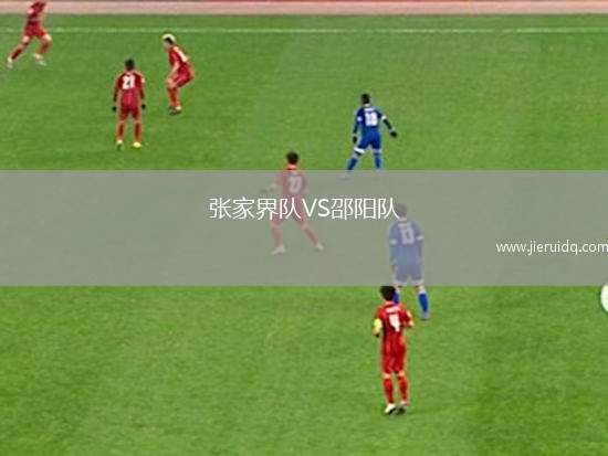 赫魯波卡伏爾塔維VS普雷迪斯