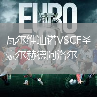 瓦爾維迪諾VSCF圣豪爾赫德阿洛爾