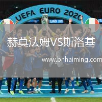 赫莫法姆VS斯洛基