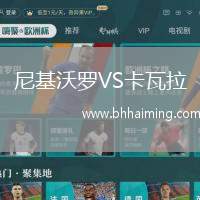 尼基沃羅VS卡瓦拉