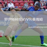 羅伊特林根VSVfR曼海姆