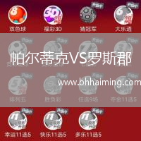 帕爾蒂克VS羅斯郡