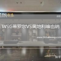 WSG蒂羅爾VS奧地利維也納