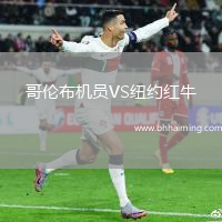 哥倫布機員VS紐約紅牛