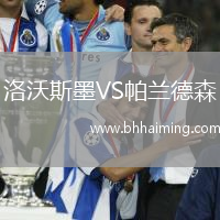 洛沃斯墨VS帕蘭德森