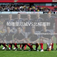 帕德里厄城VS北柳高新
