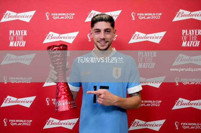 柏林馬卡比VSSV塔斯馬尼亞柏林