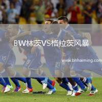 BW林茨VS格拉茨風暴