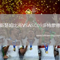 斯瑟姆比克VSASC09多特蒙德