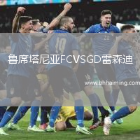 魯席塔尼亞FCVSGD雷森迪