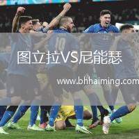 圖立拉VS尼能瑟