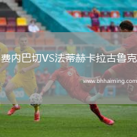 費(fèi)內(nèi)巴切VS法蒂赫卡拉古魯克