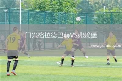 哈瓦特VS法納姆城