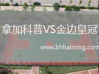 拿加科普VS金邊皇冠