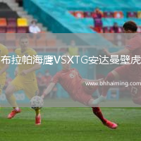 布拉帕海鷹VSXTG安達(dá)曼壁虎