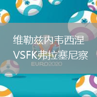 維勒茲內(nèi)韋西涅VSFK弗拉塞尼察
