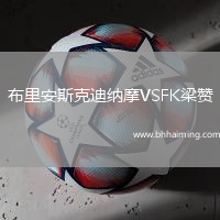 布里安斯克迪納摩VSFK梁贊