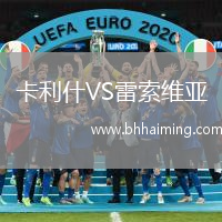 卡利什VS雷索維亞
