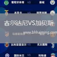 古爾達(dá)尼VS加貝斯
