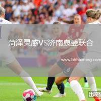 菏澤靈感VS濟(jì)南泉盛聯(lián)合