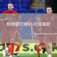 帕德里厄城VS北柳高新