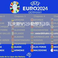 瓦夫斯VS沙勒羅瓦B隊(duì)