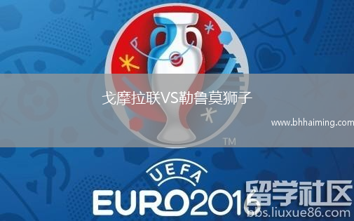 戈摩拉聯(lián)VS勒魯莫獅子