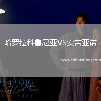 哈羅拉科魯尼亞VS安吉亞諾