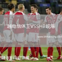 越電信體工VSSHB峴港