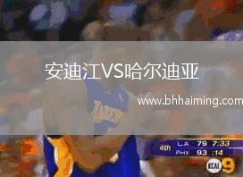 安迪江VS哈爾迪亞