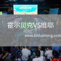 霍爾貝克VS維耶