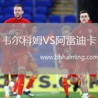 韋爾科姆VS阿雷迪卡