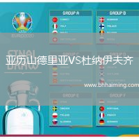 亞歷山德里亞VS杜納伊夫齊