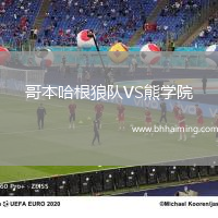 哥本哈根狼隊(duì)VS熊學(xué)院