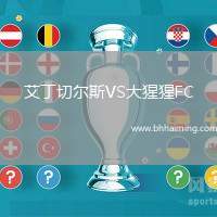 艾丁切爾斯VS大猩猩FC