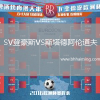 SV登豪斯VS斯塔德阿倫道夫