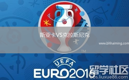 斯亞卡VS克拉斯尼克