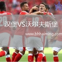 漢堡VS沃爾夫斯堡