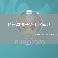 勒魯莫獅子VSJDR星隊(duì)