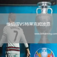 維切塔VS特萊克姆波恩