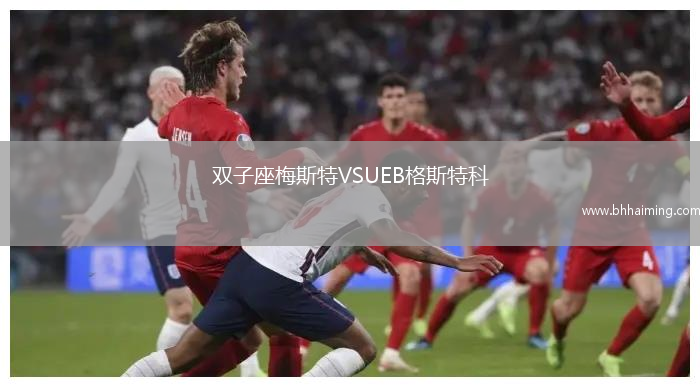 雙子座梅斯特VSUEB格斯特科