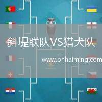 斜堤聯(lián)隊VS獵犬隊