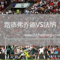 路德弗喬德VS法納