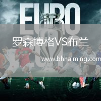 羅森博格VS布蘭