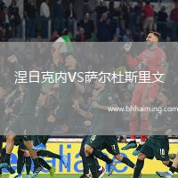 涅日克內(nèi)VS薩爾杜斯里文