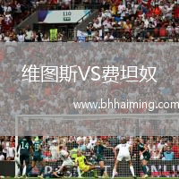 維圖斯VS費(fèi)坦奴